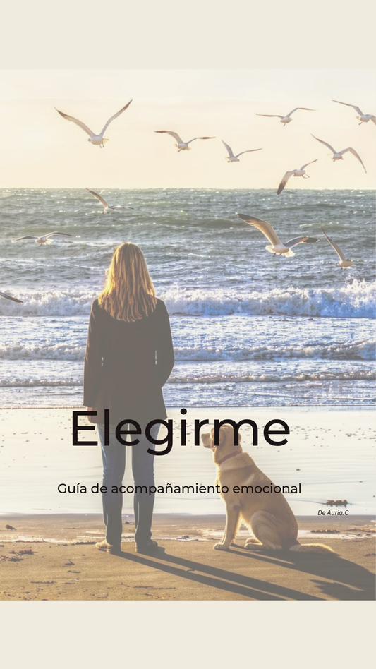 ELEGIRME - Atravesar una ruptura - Establecer límites - Cerrar con dignidad- VOLVER A VOS